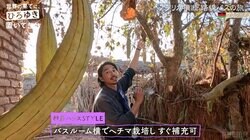 山奥で生活中の東出昌大、アフリカ部族の風呂を自宅の参考にする「うちの建設予定の風呂もこんな感じ」