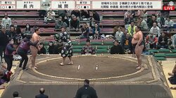 「ちょっと待って！」救命士が力士を制止 安全配慮で土俵の上へ「いったん座りましょう」迅速対応に賞賛、力士には激励と安堵の拍手