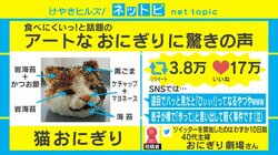 リアルすぎて「ひぃぃ」ってなる!? 食べるのをためらう“アートなおにぎり”がSNSで人気