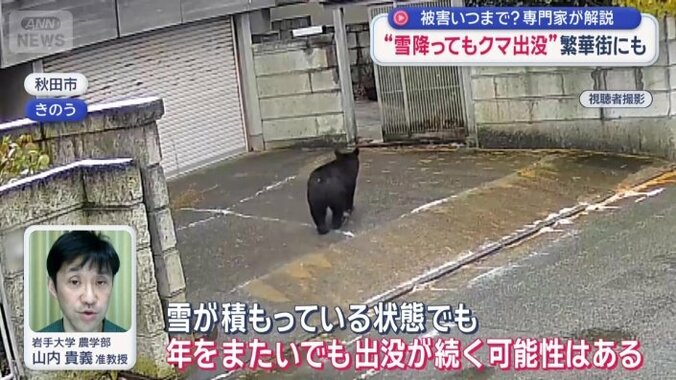 岩手大学 農学部　山内貴義准教授