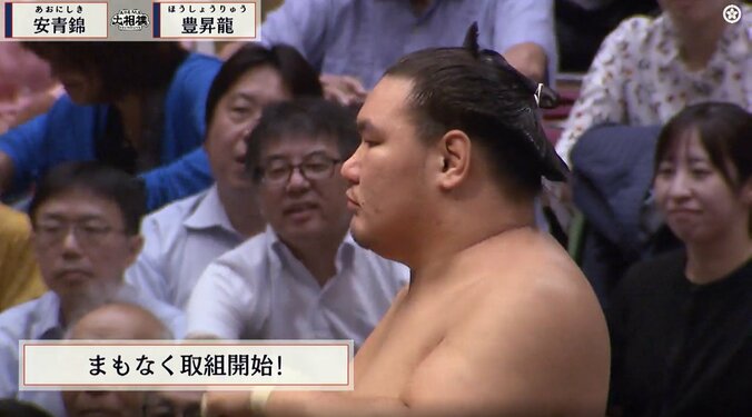 十二日目の豊昇龍