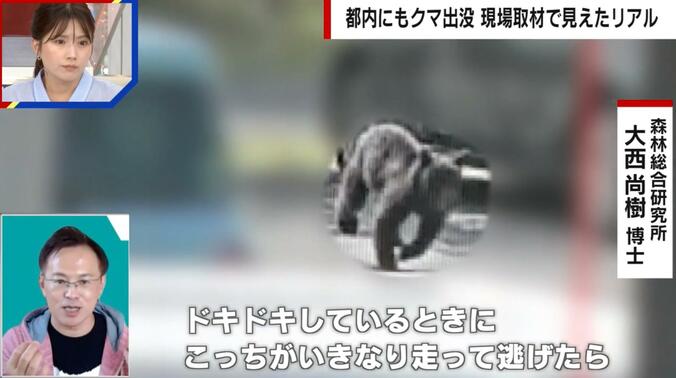 【写真・画像】相次ぐクマ出没、東京・青梅市で異変…土産店店主「ここまで多いのは初めて」ハイキング客はクマ対策グッズ持参も「実際に遭遇したら自信ない」　1枚目