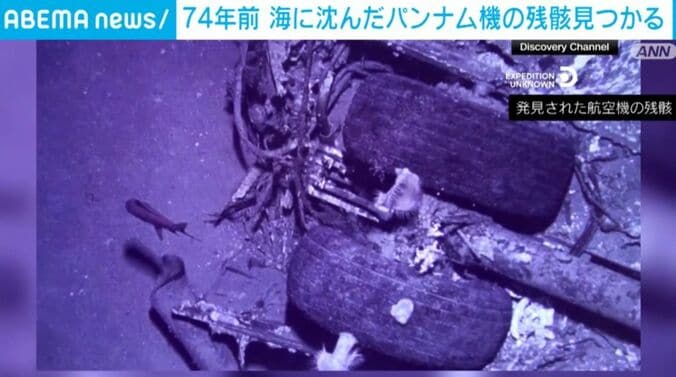 発見された航空機の残骸