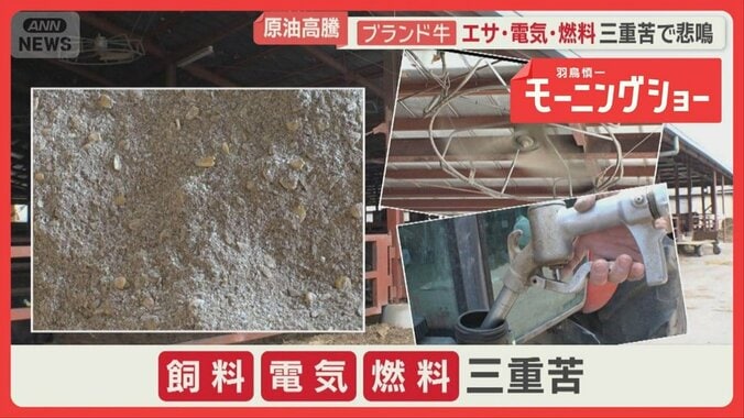 牛もコメも…苦境の現場　原油危機が日本の食卓に直撃　スーパーのトレー値上がり懸念 1枚目