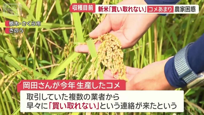 岡田さんが今年生産したコメ