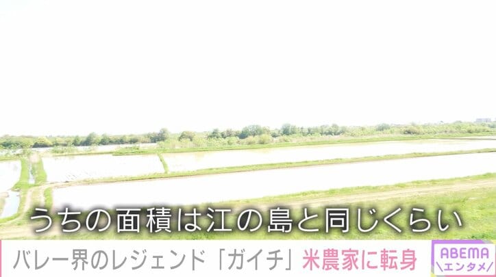 中垣内氏の田んぼ