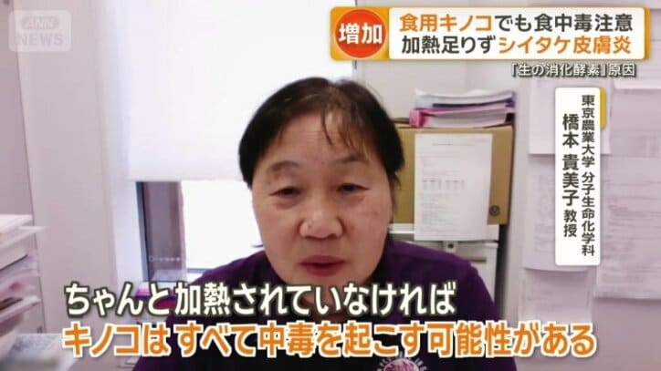 キノコはすべて中毒を起こす可能性がある