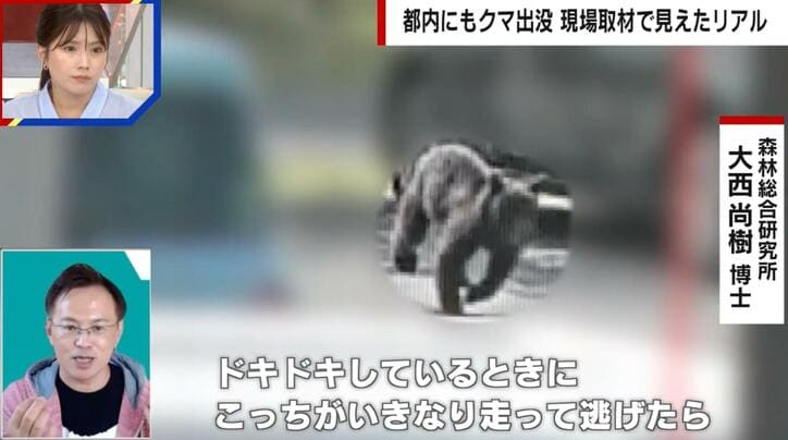 【写真・画像】相次ぐクマ出没、東京・青梅市で異変…土産店店主「ここまで多いのは初めて」ハイキング客はクマ対策グッズ持参も「実際に遭遇したら自信ない」　1枚目