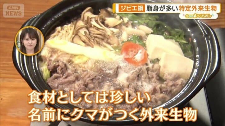 普通のクマとはちょっと違う珍しいジビエ