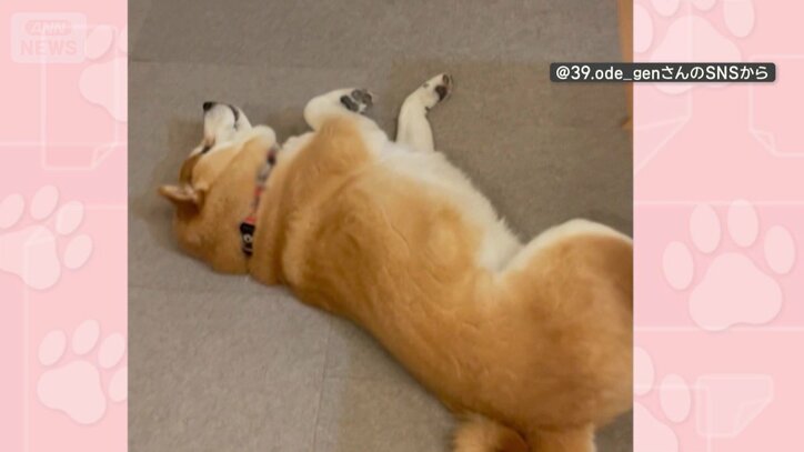 掃除機のそばでゴロン