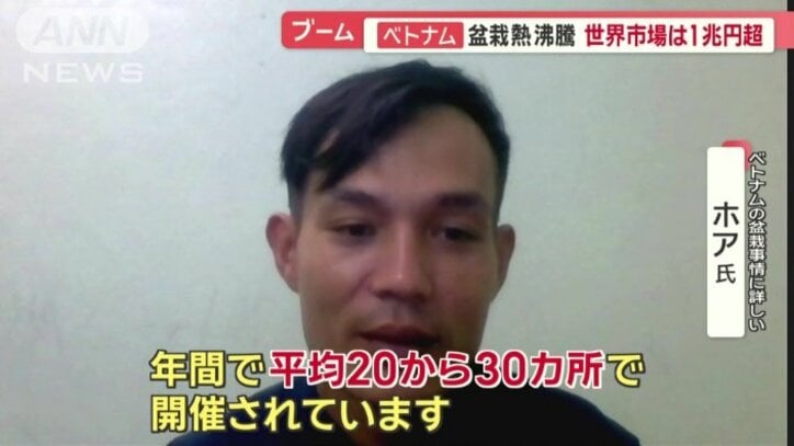 ベトナムの盆栽事情に詳しいホア氏