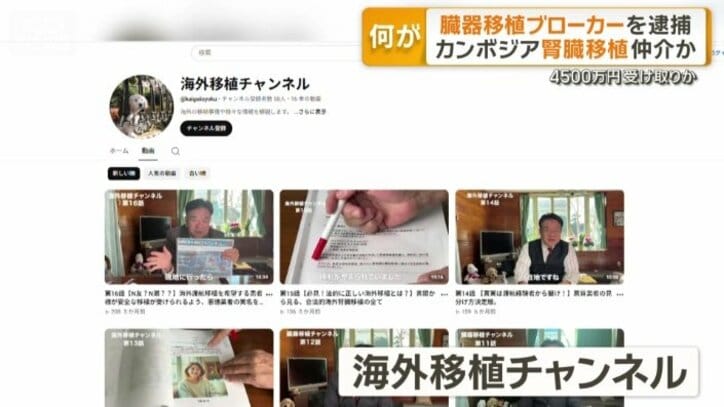 海外移植チャンネル
