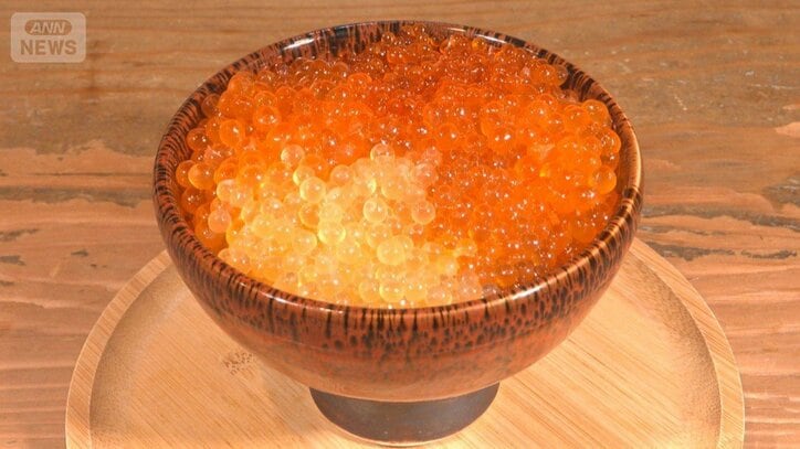 秋サケ“歴史的”不漁か 昨年よりさらに半減見通し イクラ価格は一段と高騰