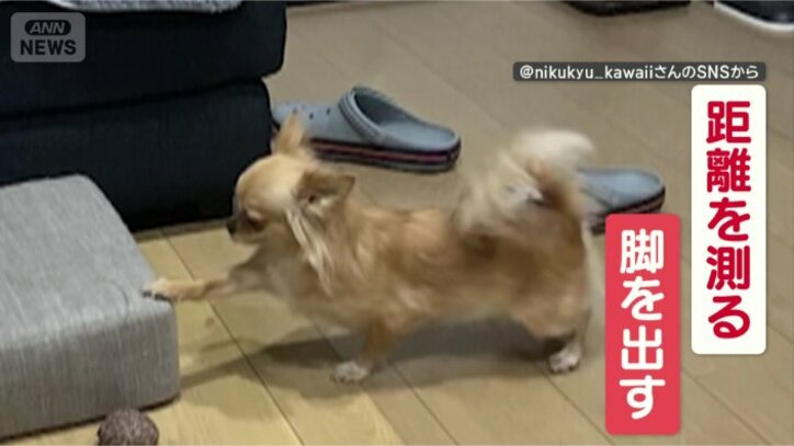 えっと、ソファまでの距離は…