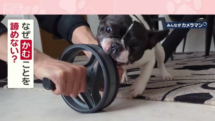 なぜ諦めない？