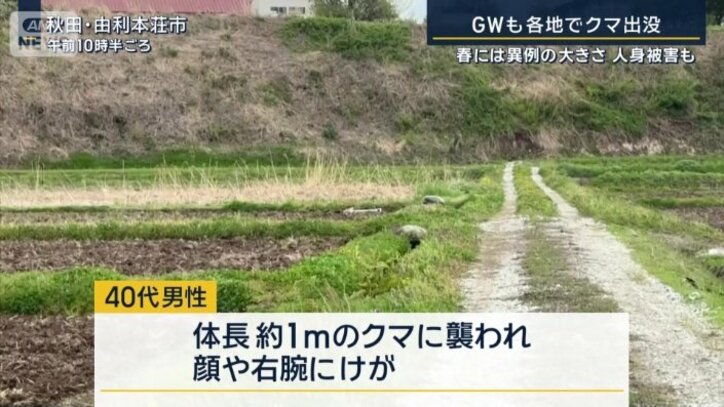 秋田でクマ出没