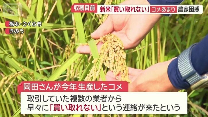 岡田さんが今年生産したコメ