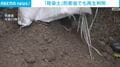 「除染土」防衛省でも再生利用