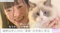 遠野なぎこ、愛猫・愁くんの手術前に号泣「看護師さん、引いただろうな」