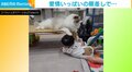 赤ちゃんの頭を“ポンポン”と撫でてあげる猫 子煩悩な一面をのぞかせる優しい姿に感動