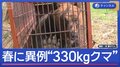 ハンター驚く“春に異例の300kg超クマ” 高齢者施設にもクマ“緊迫一部始終”
