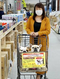 北斗晶『台風対策』