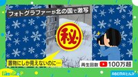 【映像】雪に埋もれた置物? まさかの正体に「積もるまでいたのか!」驚きの声