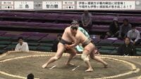 【映像】白鵬にそっくりの爽やかな力士(接写有り)