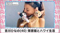 吉川ひなの 保護猫とハワイ生活