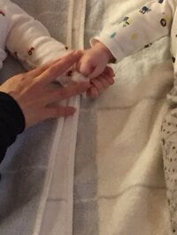 樫木裕実『双子ベィビーくんに胸キュン』