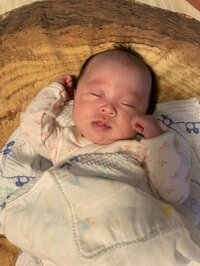 キンタロー。旦那『兄からのお祝いに「なるほど」。』