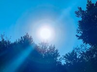 藤原紀香『今日という日』