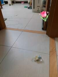 インリン『地震被害について』