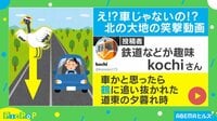 「失礼しま～す」追い越していったのは鶴!?