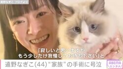 遠野なぎこ、愛猫・愁くんの手術前に号泣「看護師さん、引いただろうな」