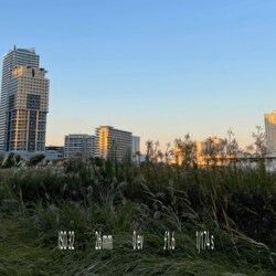 safmusic、主宰レーベル「庭 niwa」から最新EP『Verse1』をリリース！ 昨年末に突如MVが公開された、Number Collectorとの共作「(null)」も収録した全6曲入り