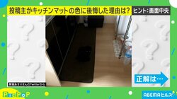 隠れ身の術を使った黒猫 キッチンマットに“同化”した姿が「1分ぐらい探して見つかった」「これが光学迷彩か」と反響