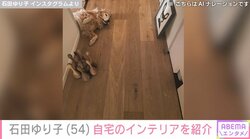 石田ゆり子、自宅のインテリアを紹介 「なんでもない日々がいかに幸せなことか身に染みる」