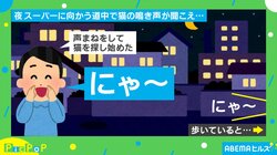 夜道で猫の鳴き真似をして猫探し！投稿者が体験した“コントのような結末”に「今日イチ笑ったww」「平和な世界」と話題