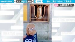 一緒に“ヘッドバン”する元競走馬と馬人形 見事なシンクロに「もはや可愛いを通り越して尊い」との声