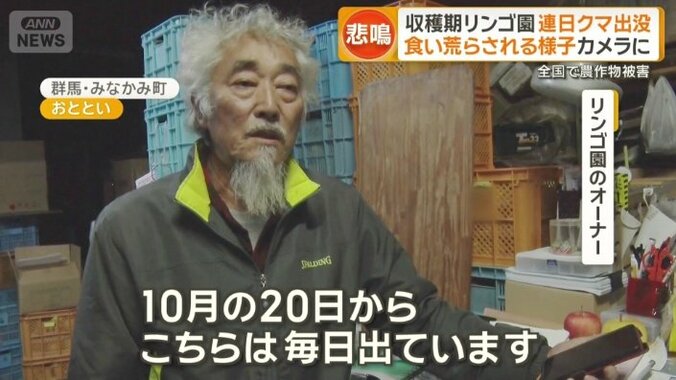 リンゴ園のオーナー