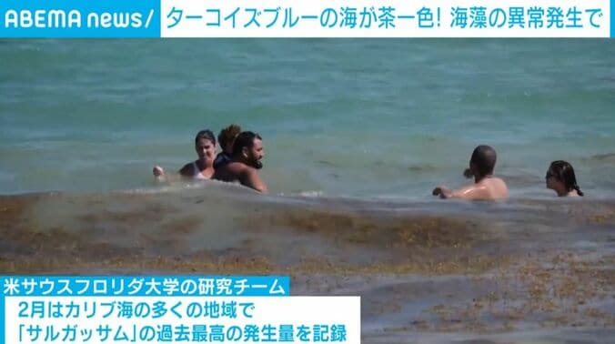 海で泳ぐ人