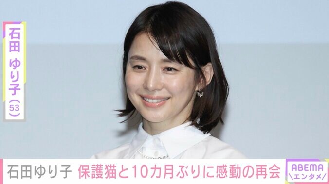 石田ゆり子、育てていた保護猫と10カ月ぶりに再会する動画を公開し「感動で涙です」の声 1枚目