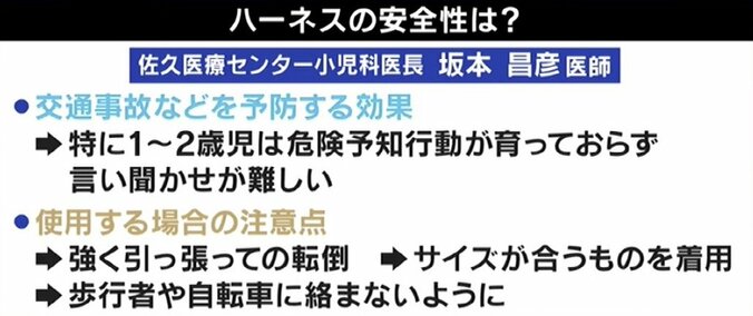 ひろゆき氏、子ども用ハーネスへの批判に苦言「頭の悪い人の気持ちに配慮する必要ない」 2枚目