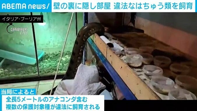 イタリア・プーリア州