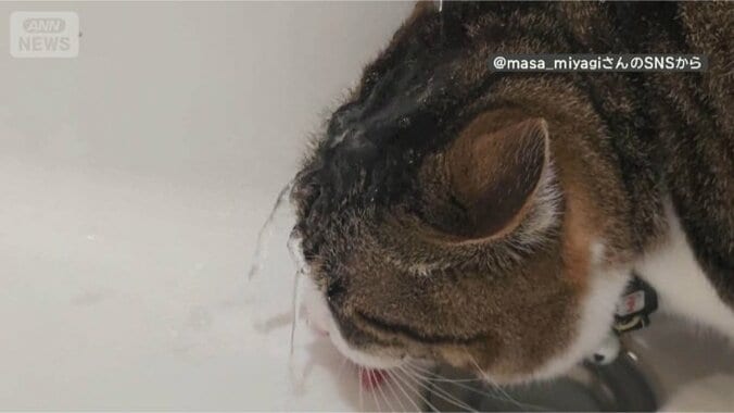 頭に水がジャー