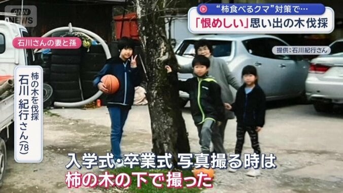 記念撮影の場所として親しまれてきた柿の木は…