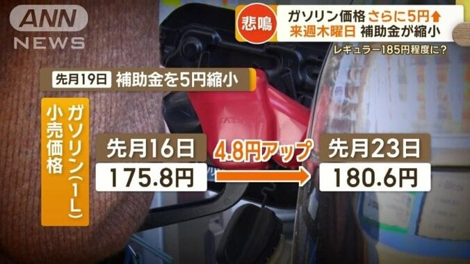 国は先月、補助金の縮小を実施