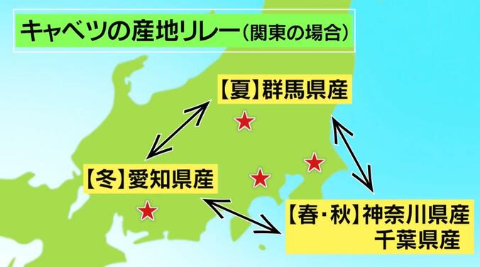 【写真・画像】１玉1000円超で農家も大打撃…キャベツ高騰のメカニズム「異常気象で“産地リレー”破綻」　3枚目