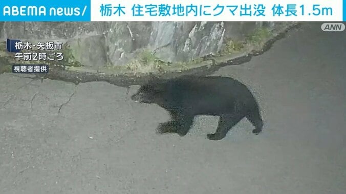 栃木・矢板市